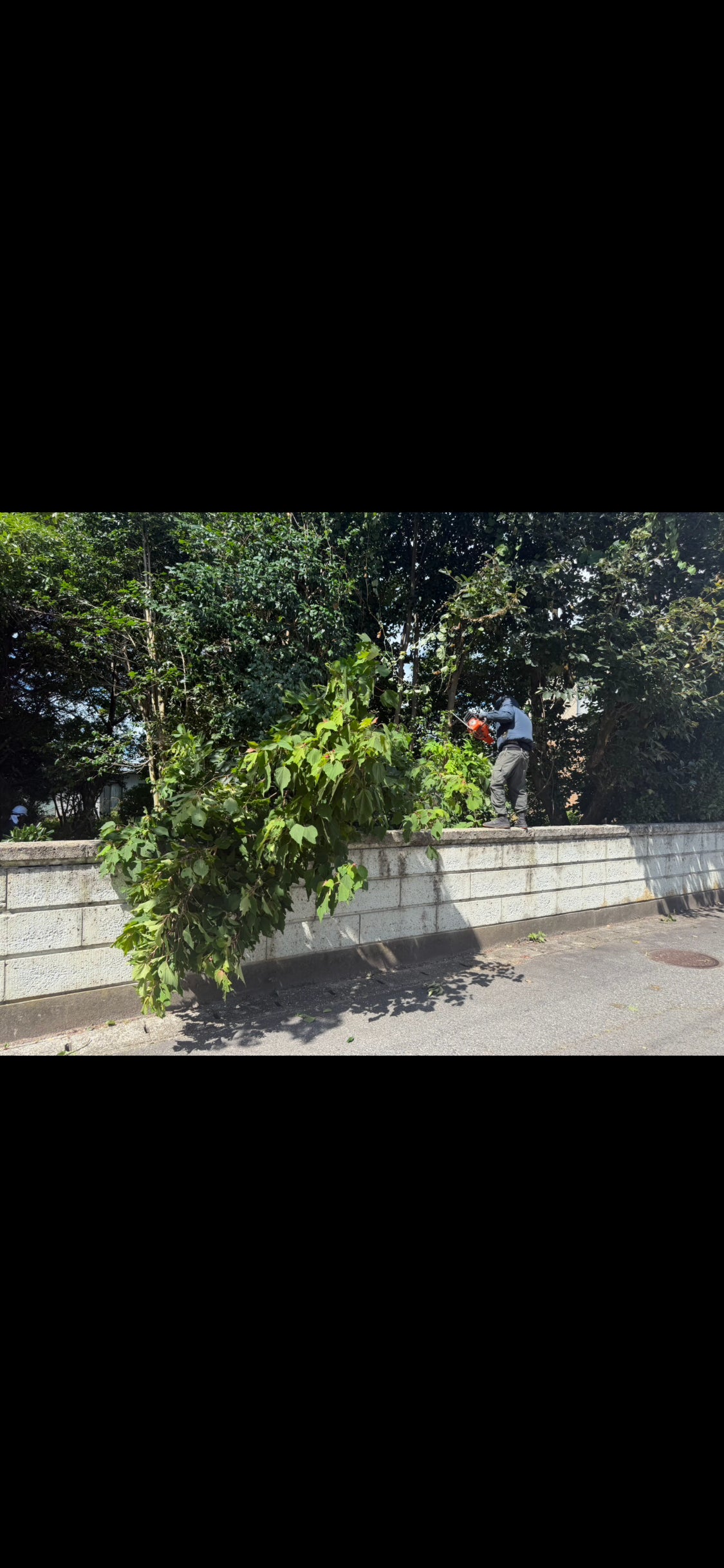 藤誠総建の紹介写真_2枚目