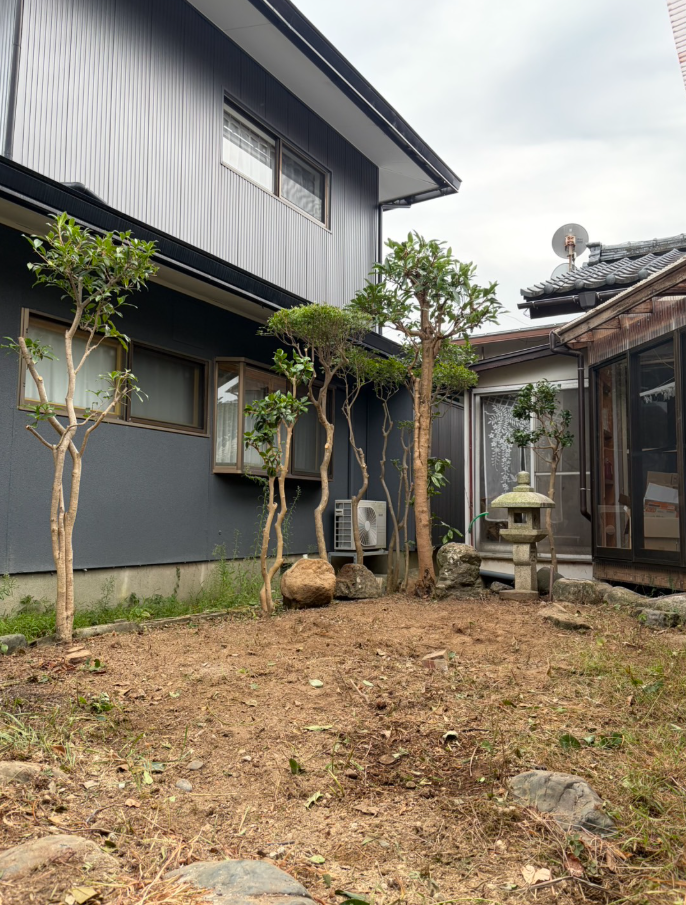 の画像